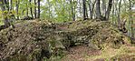 IMG_20241023_142436