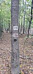 IMG_20241023_145255