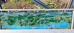 IMG_20241125_125043