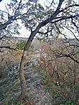 IMG_20241101_084137