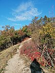 IMG_20241030_083239