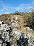 IMG_20241030_094111