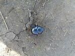 IMG_20241030_105635