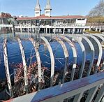 IMG_20241116_111621 2
