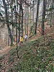 IMG_9734
