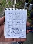 IMG_9522