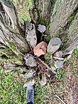 IMG_20241119_100045