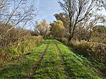 IMG_20241103_104722566_HDR