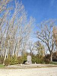 IMG_20241103_135432783