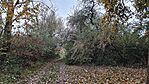 20241110_160029.jpg