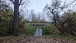 20241110_160036.jpg