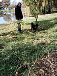 IMG_20241103_094641