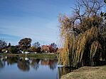 IMG_20241103_094702