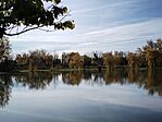 IMG_20241103_094717