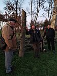 IMG_20241123_161435