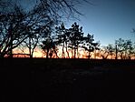 IMG_20241123_163608