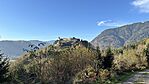 IMG_0529