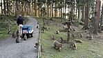 IMG_0535