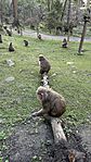 IMG_0539