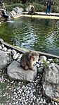 IMG_0548