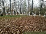 IMG_20241117_125059