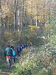 IMG_20241116_105808