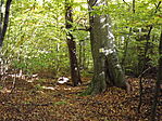 Tekeres-kút-1