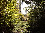 Tekeres-kút-3