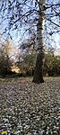 IMG20241121142111