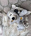 IMG_0027