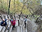 IMG_9692