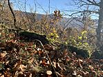 IMG_7650