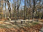 IMG_7798