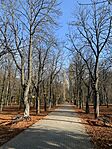 IMG_7801