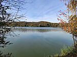 IMG_20241103_104753