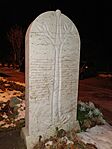 IMG_20241124_191434