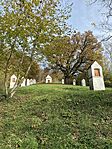 IMG_4390