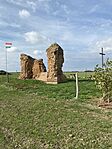 IMG_4387