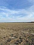 IMG_4468