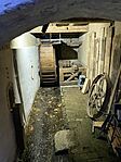 IMG_4478