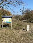 IMG_4519