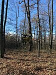 IMG_4655