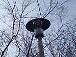 IMG_20241103_135933_(1024_x_768_pixel)