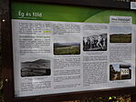 DSC09928