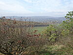DSC09934