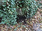 DSC00052
