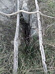 DSC00056