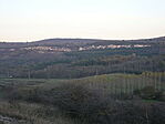 DSC00060