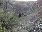 DSC00066