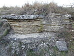 DSC00067